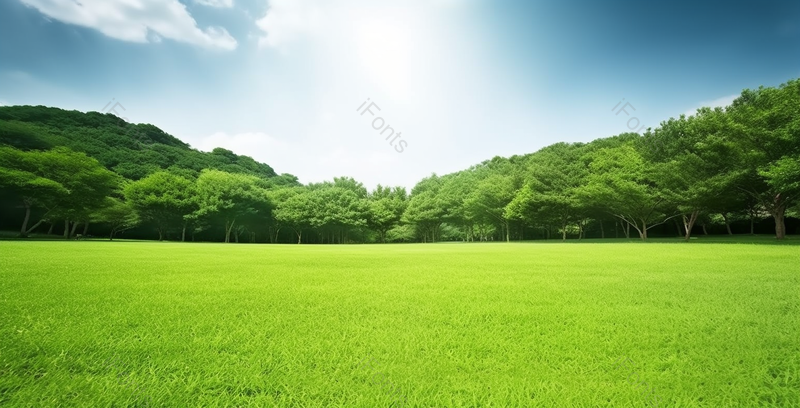 绿色春天生机勃勃草坪草地风景背景,高清,摄影图,摄影图片,图片大全,摄影图免费下载